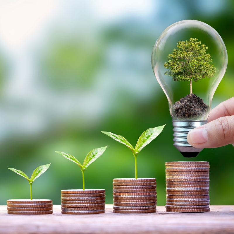 Coins with plants growing out and a lightbulb with a plan in it