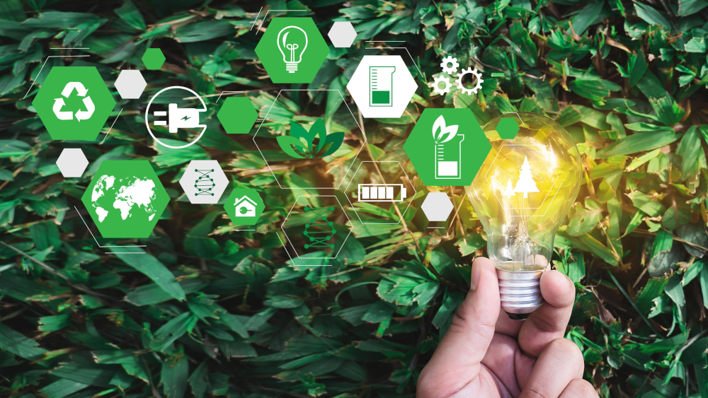 Grass with design elements and light bulb