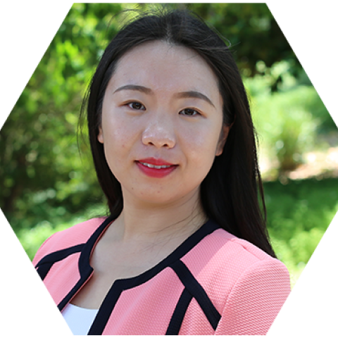 Fan Zhang's profile picture