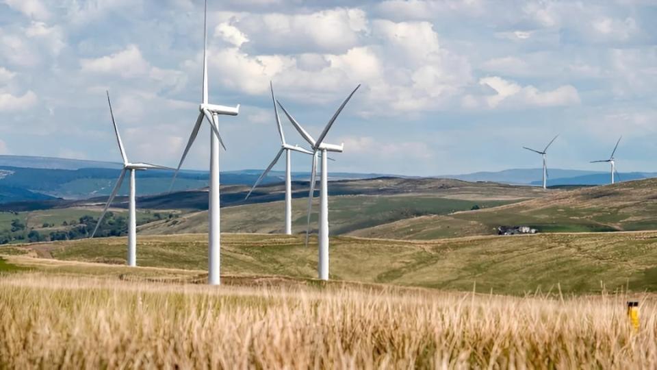 Wind Turbines in a field